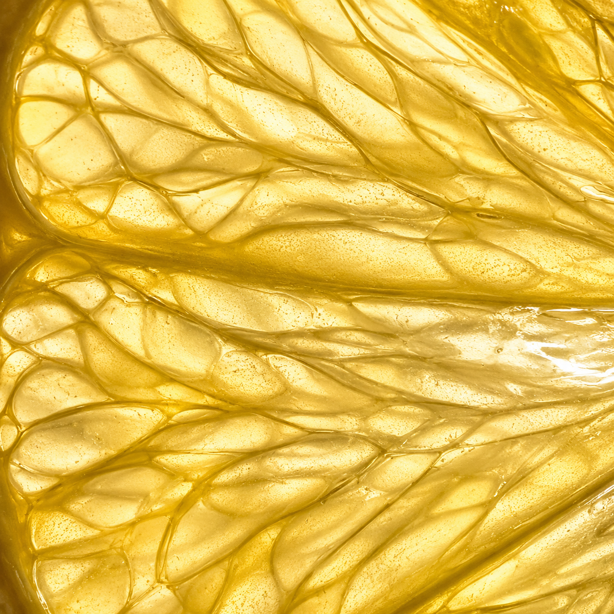Derivado de la Vitamina C