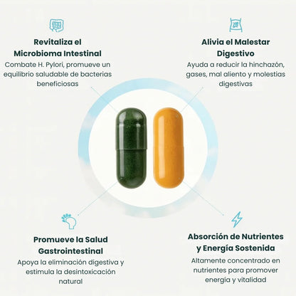 Espirulina y Chlorella para la salud intestinal