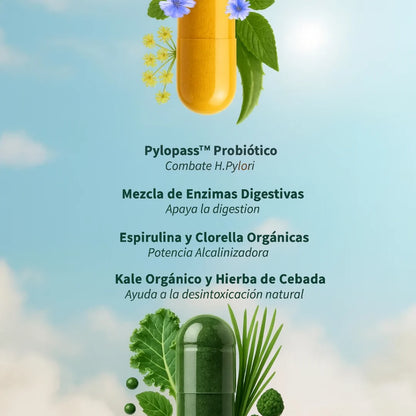 Espirulina y Chlorella para la salud intestinal